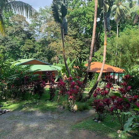 Cabinas Coco Lindo Охочаль Экстерьер фото