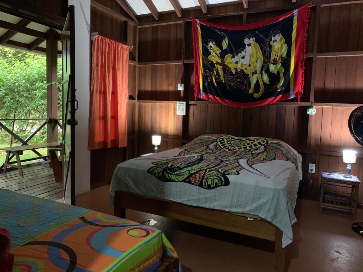 Cabinas Coco Lindo Охочаль Экстерьер фото